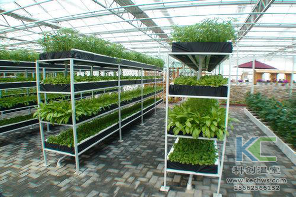 無土栽培技術，無土栽培設備，基質栽培，溫室大棚