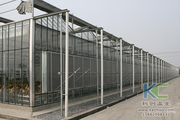 玻璃溫室建設，溫室大棚，蔬菜大棚，大棚