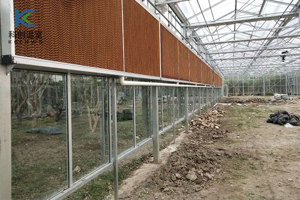 上海聯棟玻璃溫室建設