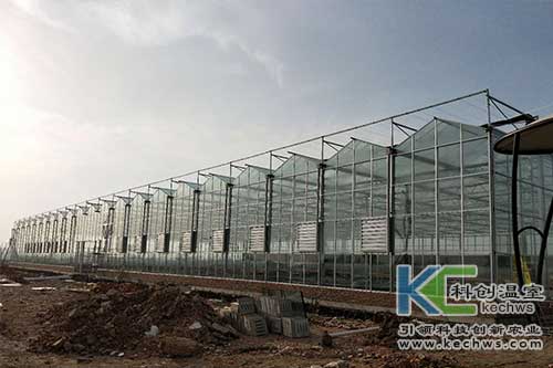 安徽阜陽全玻璃智能溫室建設項目
